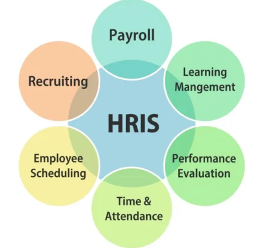 The Value Of Expert Consultation In Hris Implementations - I4c